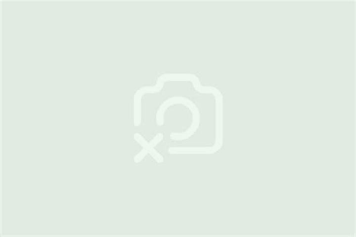 Scarlett, 30 — Escort in Rennerod, Germany