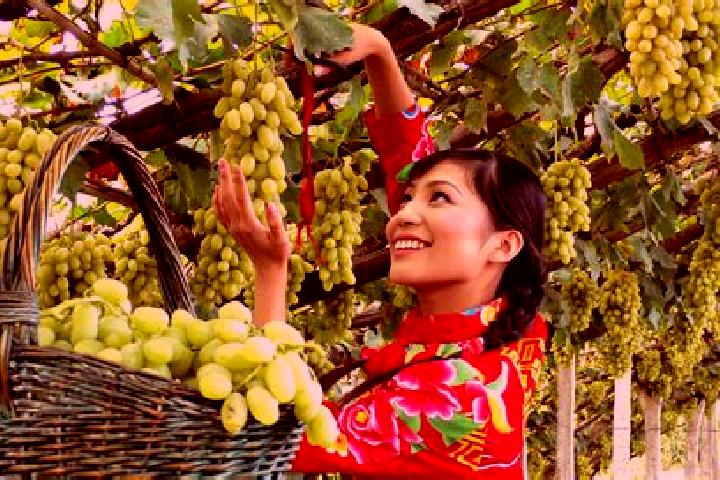 Scarlett, 30 — Escort in Xuanhua, China