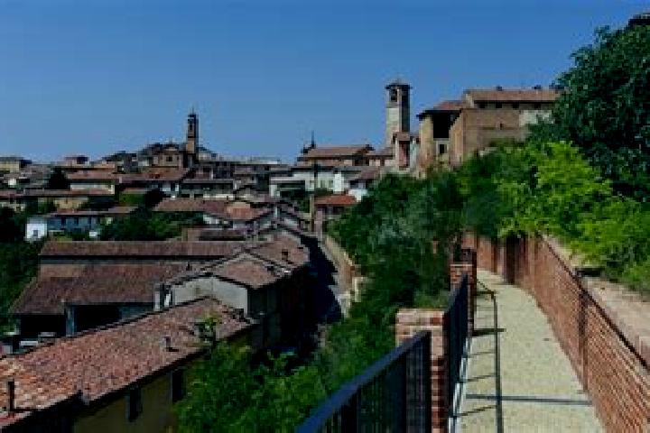 Scarlett, 31 — Escort in Camagna Monferrato, Italy