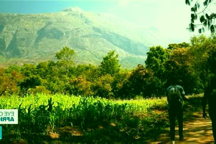 Scarlett, 31 — Escort in Mulanje, Malawi