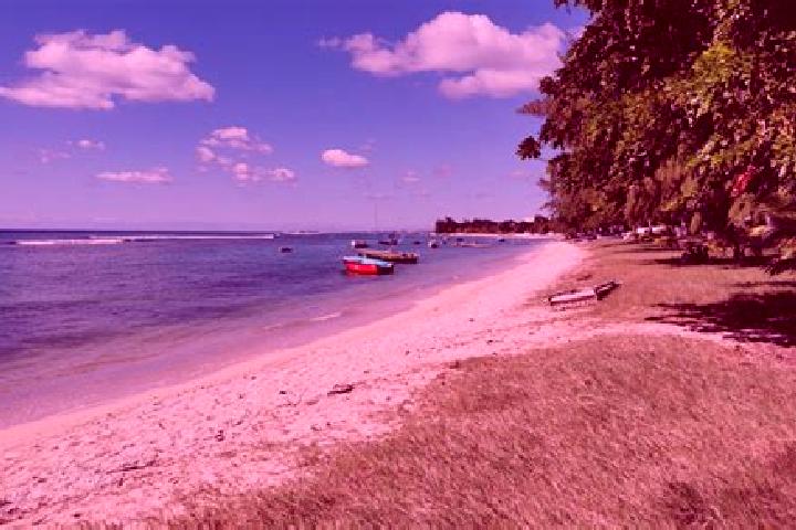 Scarlett, 31 — Escort in Pointe aux Piments, Mauritius