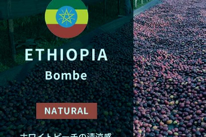 Scarlett, 32 — Escort in Bombe, Ethiopia