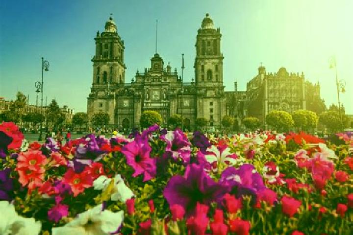 Scarlett, 32 — Escort in Ciudad Guzman, Mexico