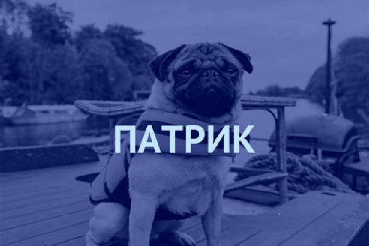 Scarlett, 33 — Escort in Staryy Cherek, Russia