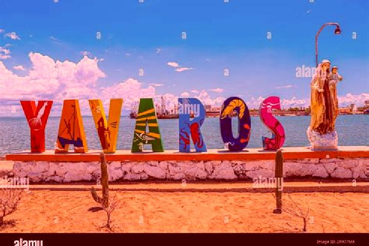 Scarlett, 33 — Escort in Yavaros, Mexico
