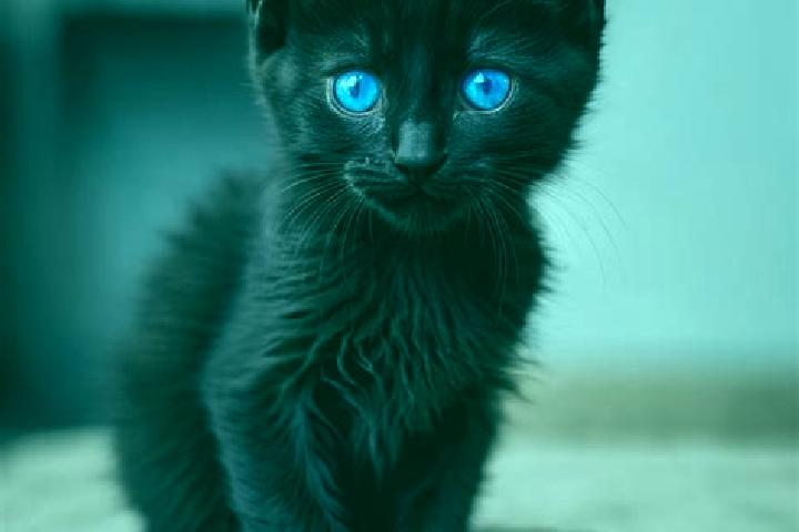 Scarlett, 34, a black blue-eyed caribbean companion based in Naeso. Offering 69, A-Level, OWO, Duos. Available for incall and outcall, overnight bookings ava...