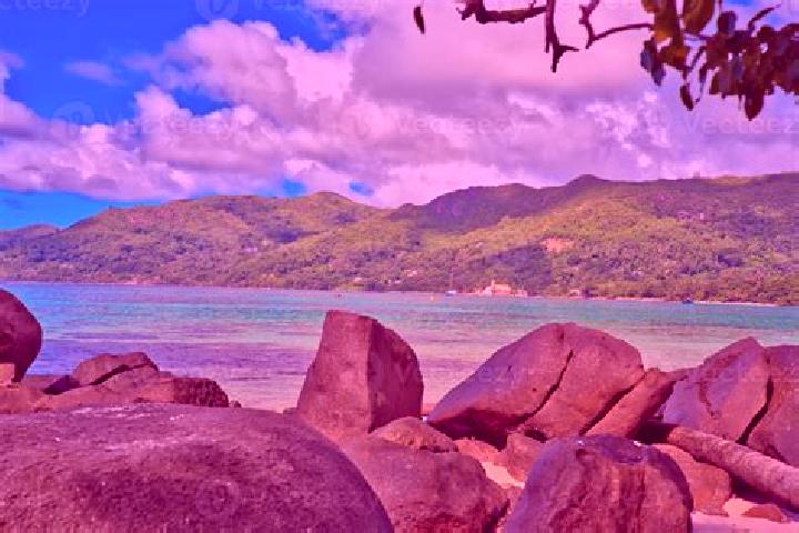 Scarlett, 34 — Escort in Anse Royale, Seychelles