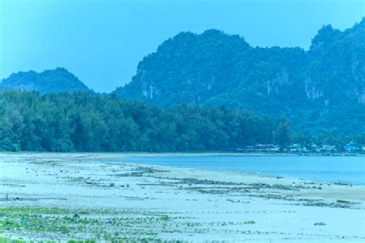 Scarlett, 34 — Escort in Chum Ta Bong, Thailand