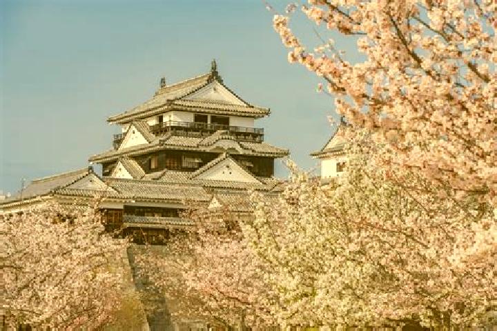 Scarlett, 34 — Escort in Matsuyama, Japan