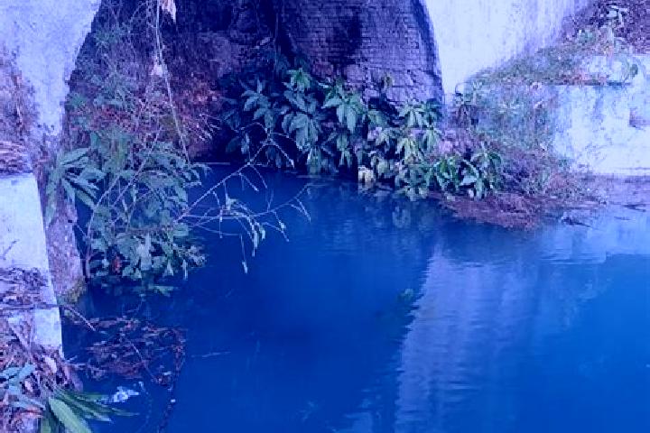 Scarlett, 34 — Escort in Ojos de Agua de Cerano, Mexico