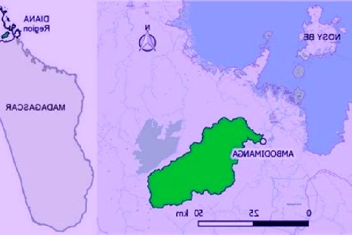Scarlett, 35 — Escort in Ambodimanga II, Madagascar