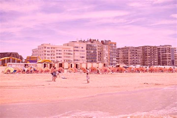 Scarlett, 35 — Escort in De Panne, Belgium