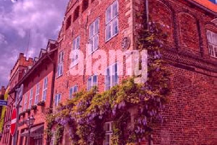 Scarlett, 35 — Escort in Lueneburg, Germany