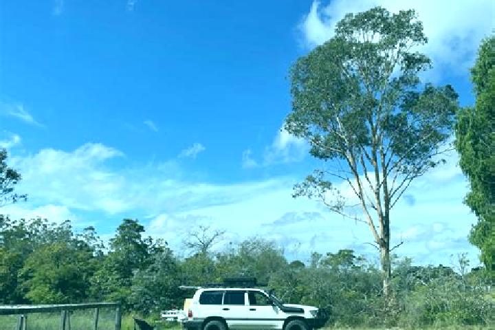 Scarlett, 35 — Escort in Wedderburn, Australia
