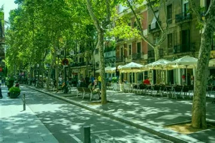 Scarlett, 36 — Escort in Barri de Sant Andreu, Spain