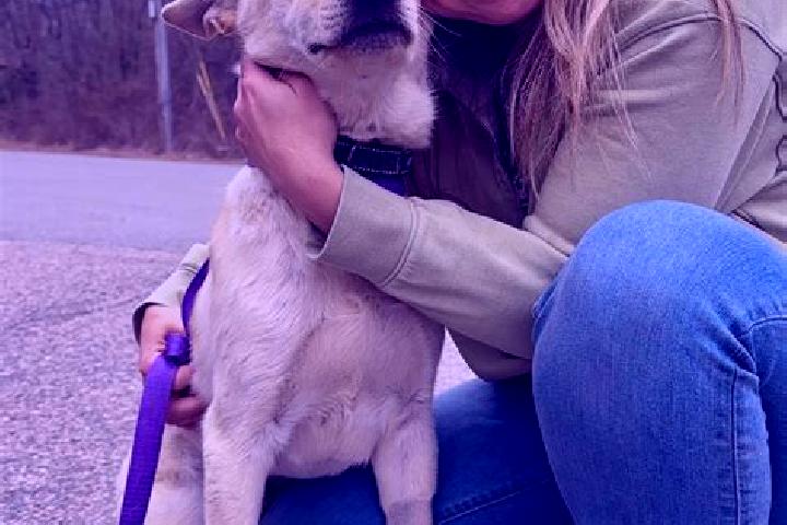 Scarlett, 36 — Escort in Brookport, United States