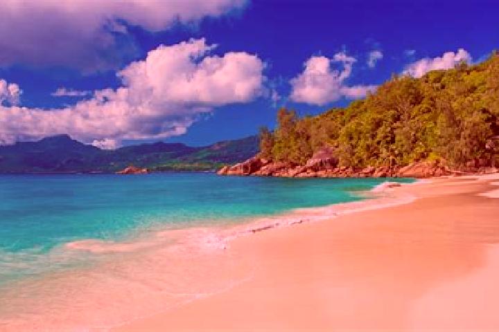 Scarlett, 36 — Escort in Grand Anse, Seychelles