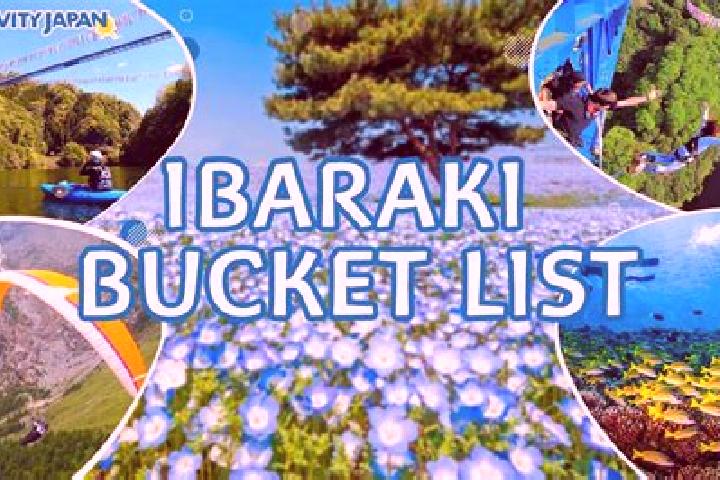 Scarlett, 36 — Escort in Ibaraki, Japan