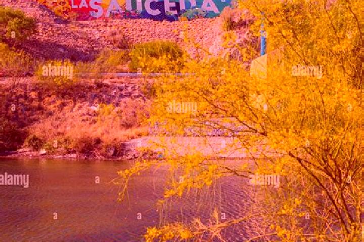 Scarlett, 36 — Escort in La Sauceda de la Luz, Mexico