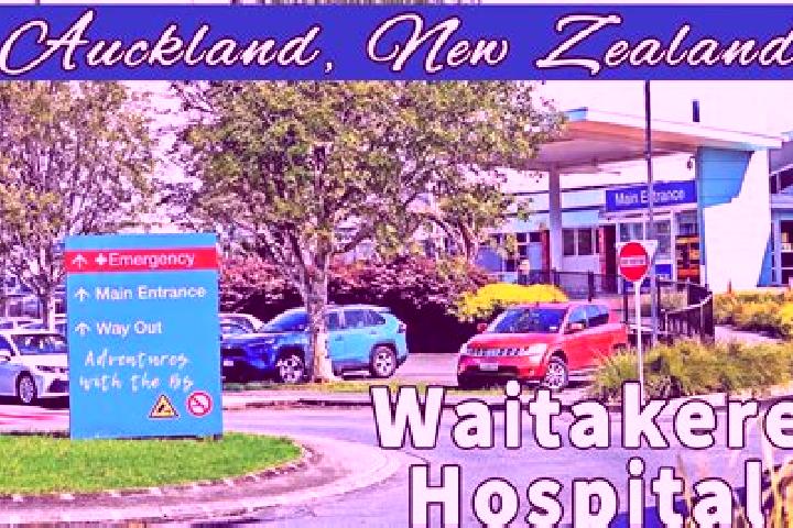 Scarlett, 36 — Escort in Waitakere, New Zealand