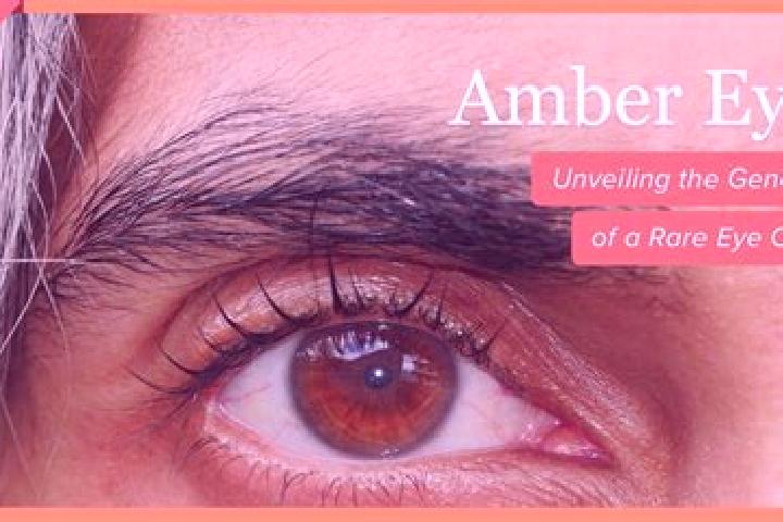 Scarlett, 37, a black amber-eyed mixed companion based in Yenikonak. Offering Overnight, OWO, Girlfriend Experience. Available for incall and outcall, overni...