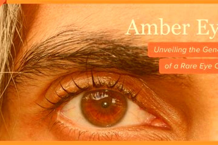 Scarlett, 37, a red amber-eyed caucasian companion based in Nicholas Denys. Offering Overnight, Couples, GFE, Massage. Available for incall and outcall, over...