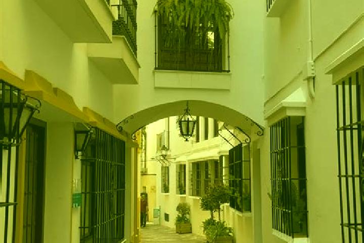 Scarlett, 37 — Escort in Beniarres, Spain