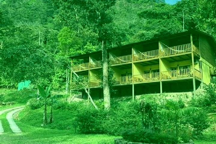 Scarlett, 37 — Escort in La Guama, Honduras