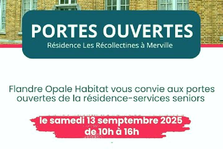 Scarlett, 37 — Escort in Merville, France