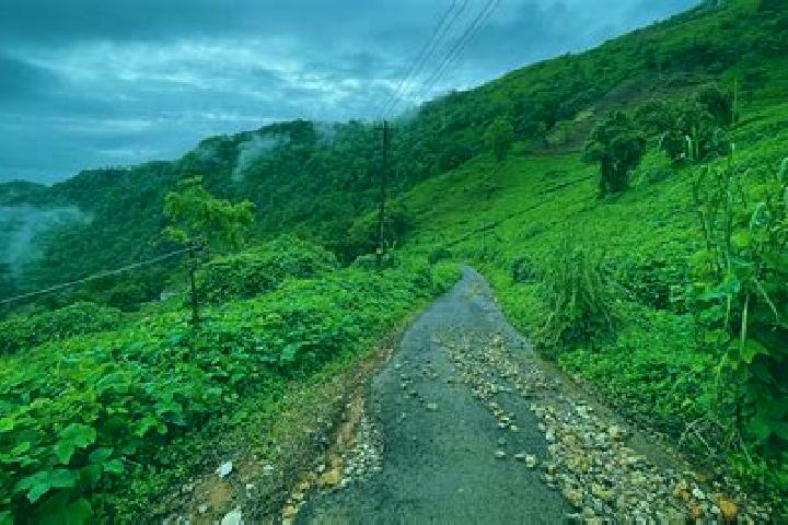 Scarlett, 37 — Escort in Payyanur, India