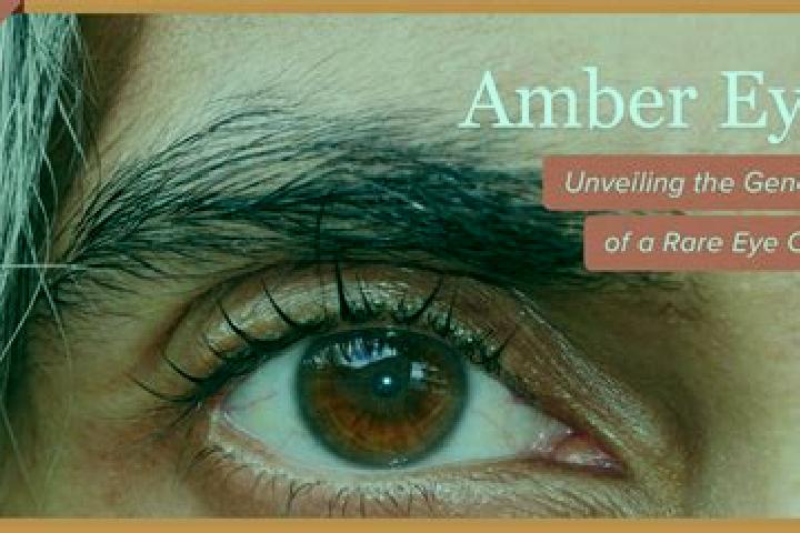 Scarlett, 38, a red amber-eyed mixed companion based in Grebenstein. Offering Massage, CIM, Erotic Massage. Available for incall and outcall, day and evening...