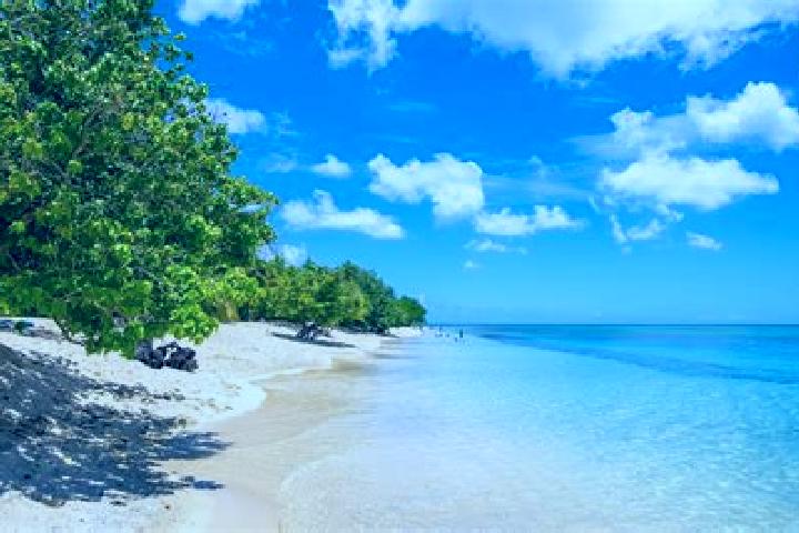 Scarlett, 38 — Escort in Port-Louis, Guadeloupe