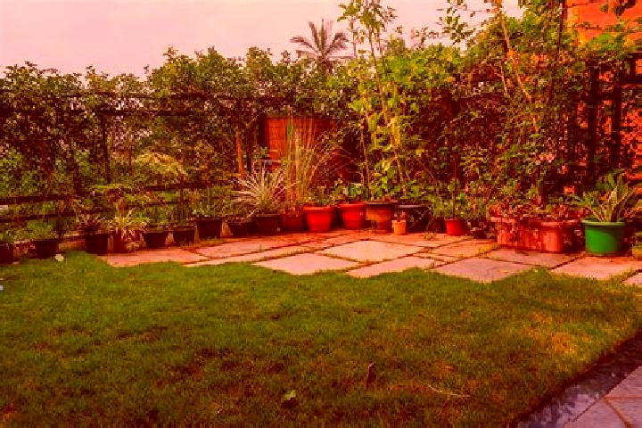 Scarlett, 38 — Escort in Srirampura, India