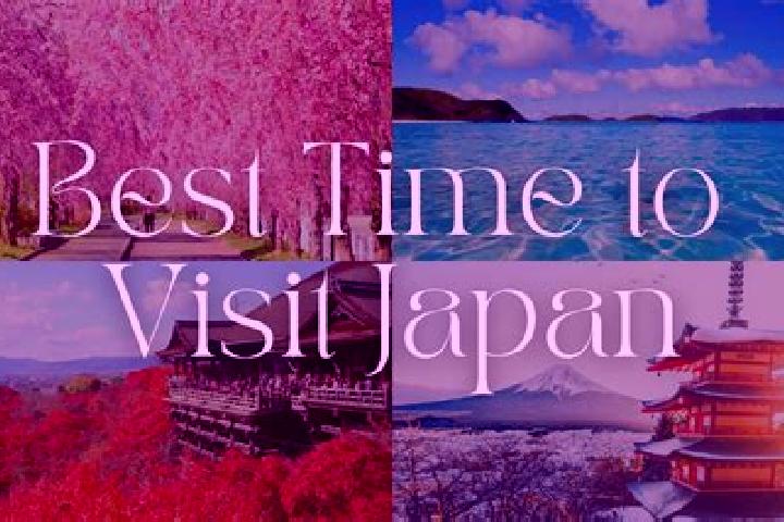 Scarlett, 38 — Escort in Tsuha, Japan
