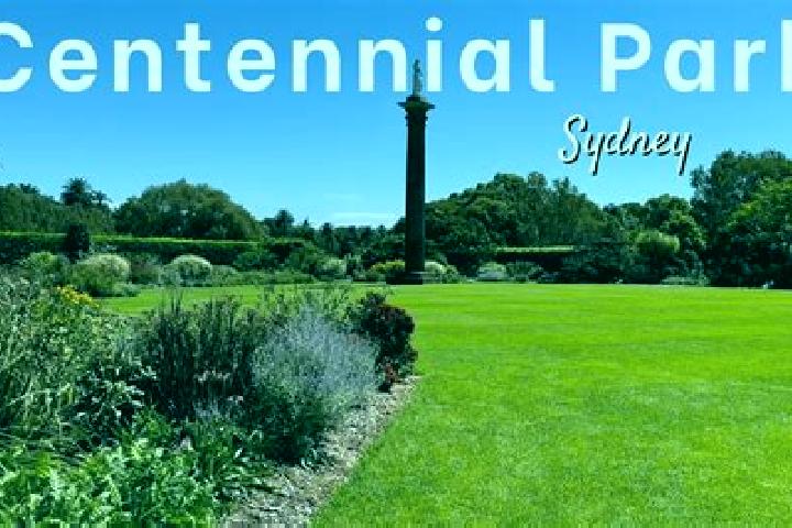 Scarlett, 39 — Escort in Centennial Park, Australia