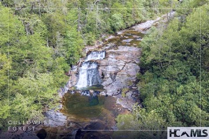 Scarlett, 39 — Escort in Cullowhee, United States