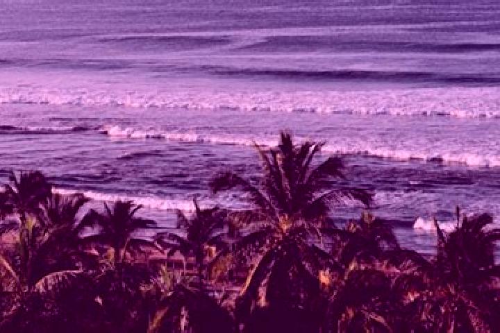 Scarlett, 39 — Escort in El Capire, Mexico