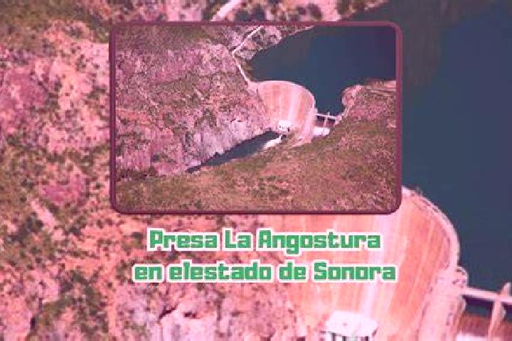 Sienna, 20 — Escort in La Angostura, Mexico