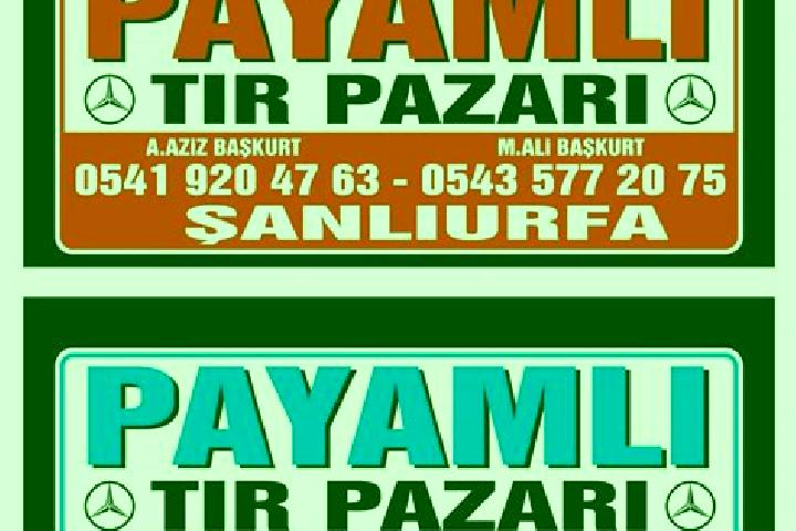 Sienna, 20 — Escort in Payamli, Turkey