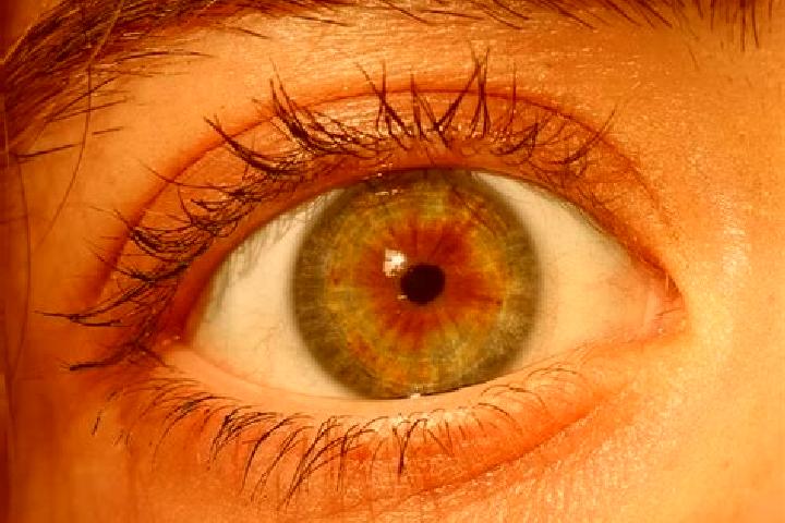 Sienna, 21, a red hazel-eyed european companion based in Coyote. Offering Overnight, Party Girl, Striptease, BDSM. Available for incall and outcall, day and ...