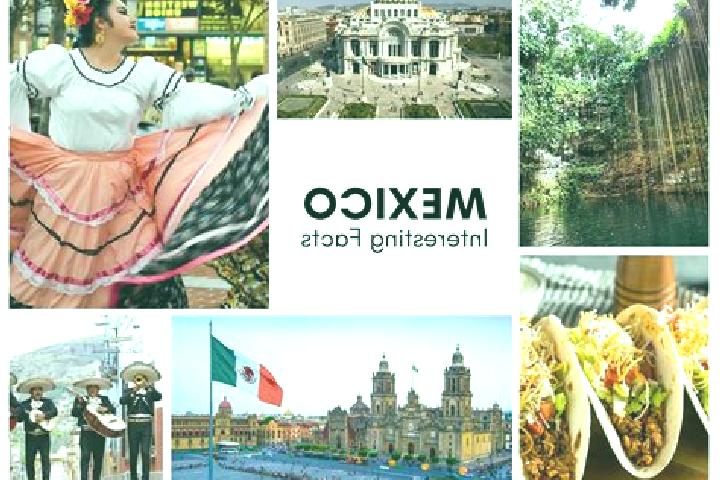 Sienna, 21 — Escort in Chicontla, Mexico