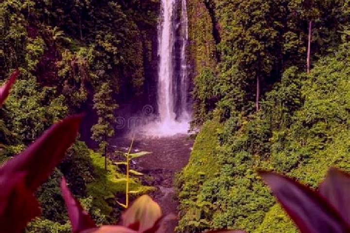 Sienna, 22 — Escort in Lotofaga, Samoa