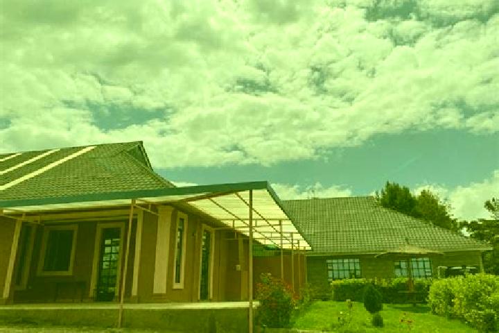 Sienna, 22 — Escort in Upper Gilgil, Kenya