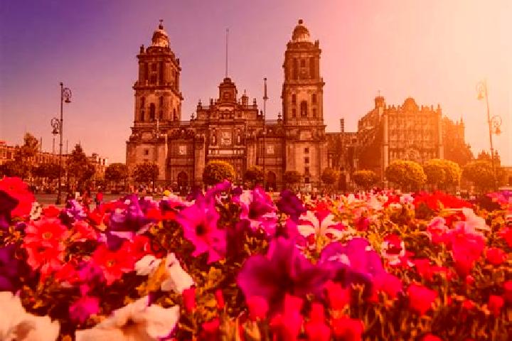 Sienna, 23 — Escort in Ciudad Constitucion, Mexico