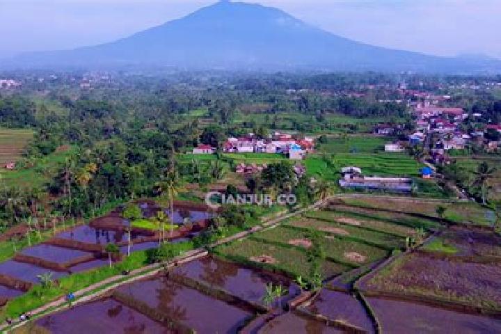 Sienna, 23 — Escort in Desa Sukajadi, Indonesia