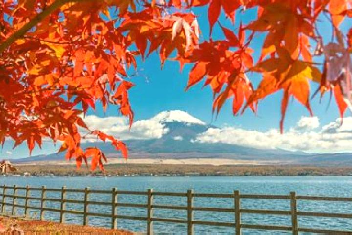 Sienna, 23 — Escort in Wakimachi, Japan