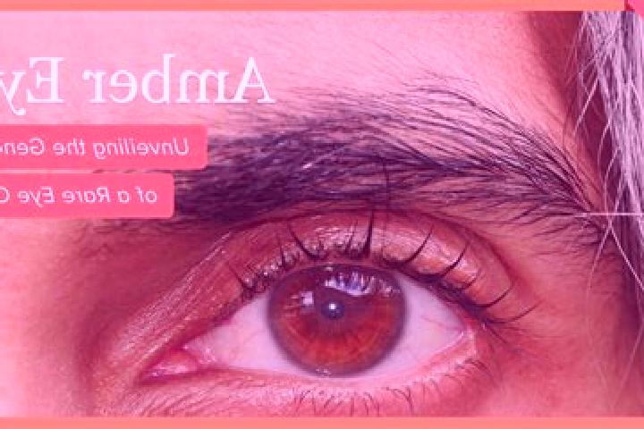 Sienna, 24, a red amber-eyed indian companion based in Maracaju. Offering GFE, BDSM, Domination, Massage. Available for incall and outcall, overnight booking...