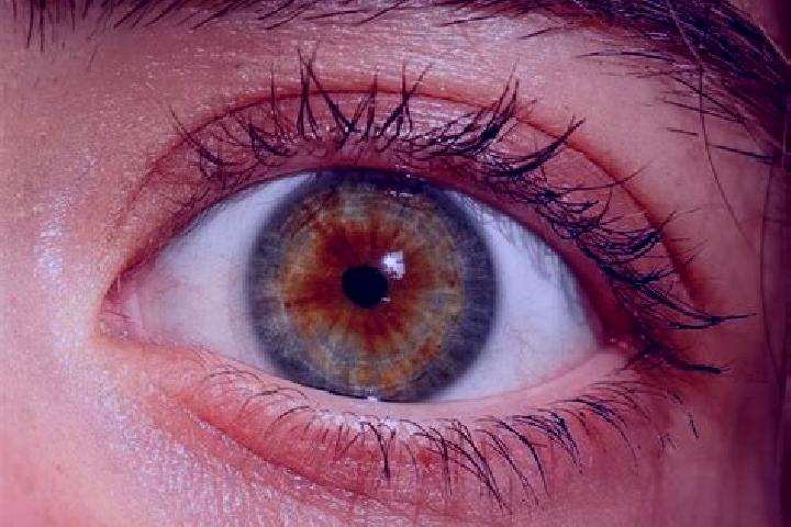 Sienna, 24, a red hazel-eyed indian companion based in Grosssoelk. Offering Couples, Fetish, Striptease, GFE. Available for incall and outcall, overnight boo...