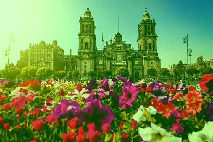 Sienna, 24 — Escort in Ciudad Tula, Mexico