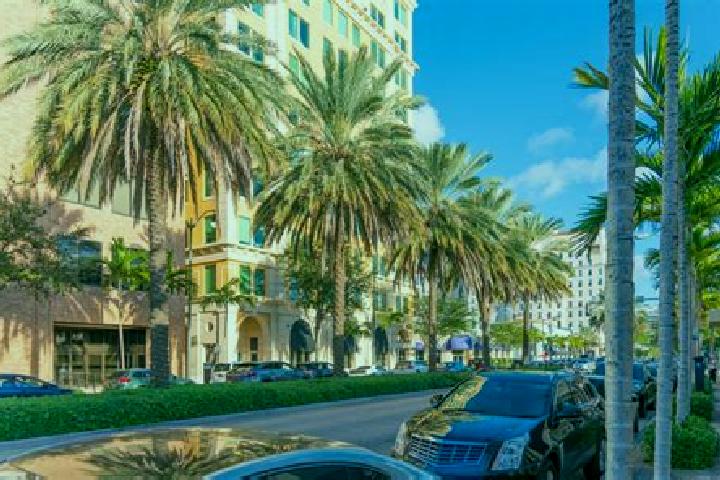 Sienna, 24 — Escort in Coral Gables, United States